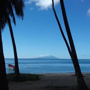 Homestay Palm View, Laborie